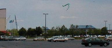 Delaware Marathon & Relay